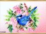 LITTLE BLUE WREN