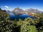 Lofoten Islands