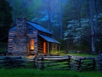 Forest cottage