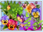 PRETTY PANSIES