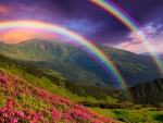 Double Rainbow