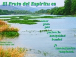 El Fruto del Espiritu Es