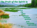 The Fruit of the Spirit Is
