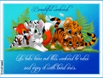BEAUTIFUL WEEKEND