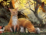 Family of Fox
