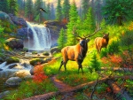 deers on waterfall