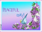 PEACEFUL DAY