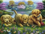 Puppies In The Sunny Meadow