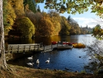 Loch Faskally - Scotland