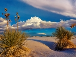 Sunset at White Sands National Park, New Mexico