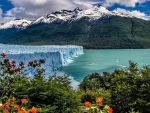 Perito Moreno Glacier - Argentina