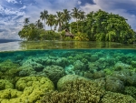 Marovo Lagoon Solomon Island