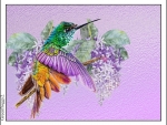 HUMMINGBIRD AND FLOWERS