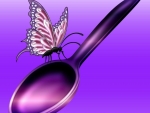 Spoon, flutterfly