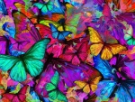 Butterfly explosion