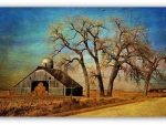 painting farm