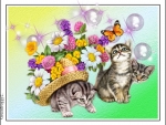 KITTENS AND BUBBLES