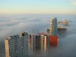 Miami Fog