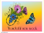 WONDERFUL NEW WEEK