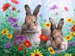 rabbit in the flowermeadow