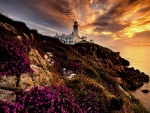Morning at the Fanad Head Lighthouse, Donegal, Ireland