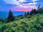 Blue Ridge Parkway, North Carolina