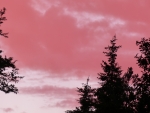 pink Sky