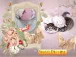 Sweet Dreams