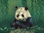 Panda bear
