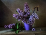 Lilacs