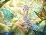 Fairy and the Moth
