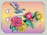 LITTLE BIRD AND ROSES