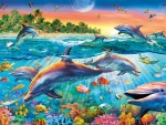 Dolphins