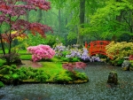 Japanese garden