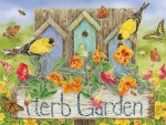 Herb Garden
