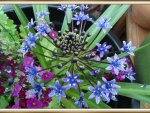 PRETTY BLUE FLOWER