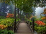 Japanese Garden Bridge