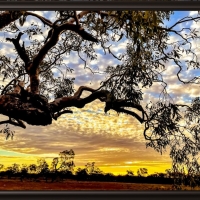 SCENERY IN AUSTRALIA