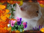 Cat and flowers