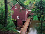 Mill in the woods