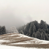 Winter Landscape V
