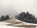 Winter Landscape V