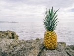 Pineapple with a view