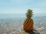 Pineapple Beach