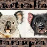 Australian Marsupials