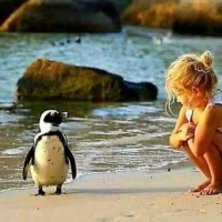 Girl and penguin
