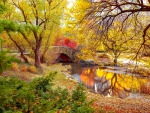 Bridge in autumn park