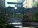 The Last Of Us