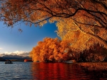 autumn lake