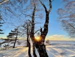 winter scene